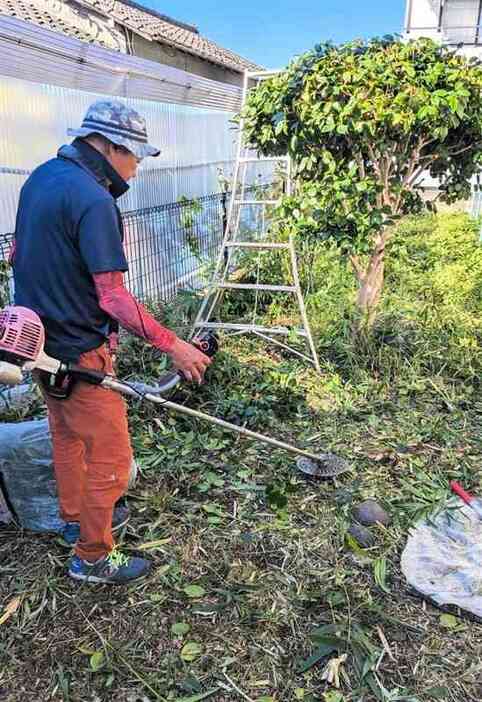 住民の依頼を受け、庭を手入れする「黒髪てだすけ隊」のメンバー＝7月、熊本市中央区（堂原秀文さん提供）