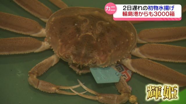 テレビ金沢NEWS