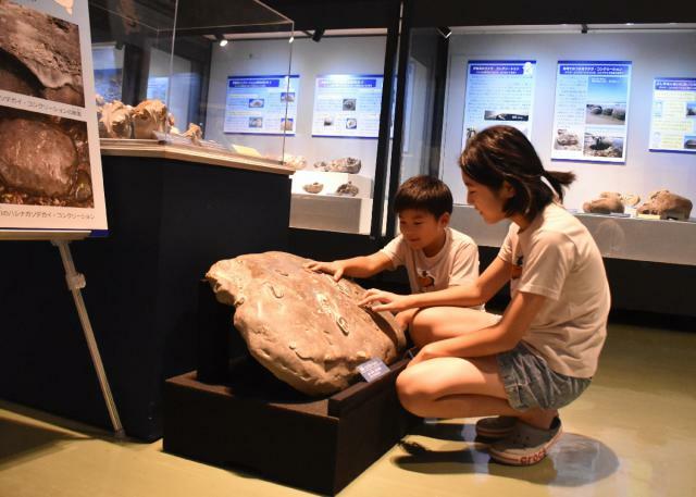 県内で見つかった奇岩など約１０００点が並ぶ特別展「化石タイムカプセル～コンクリーションの謎をとく」＝１４日午後、宮崎市・県総合博物館