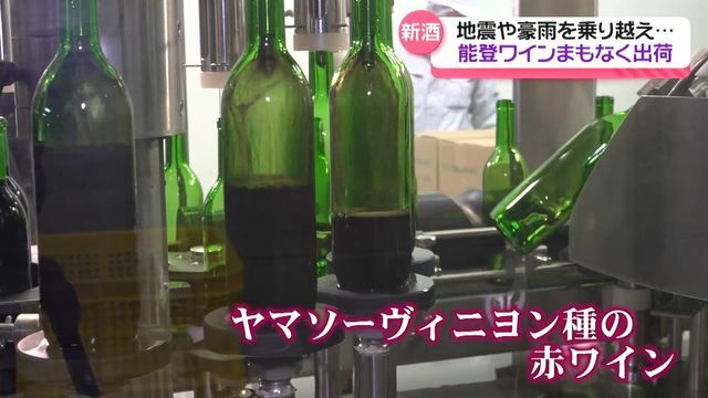 テレビ金沢NEWS