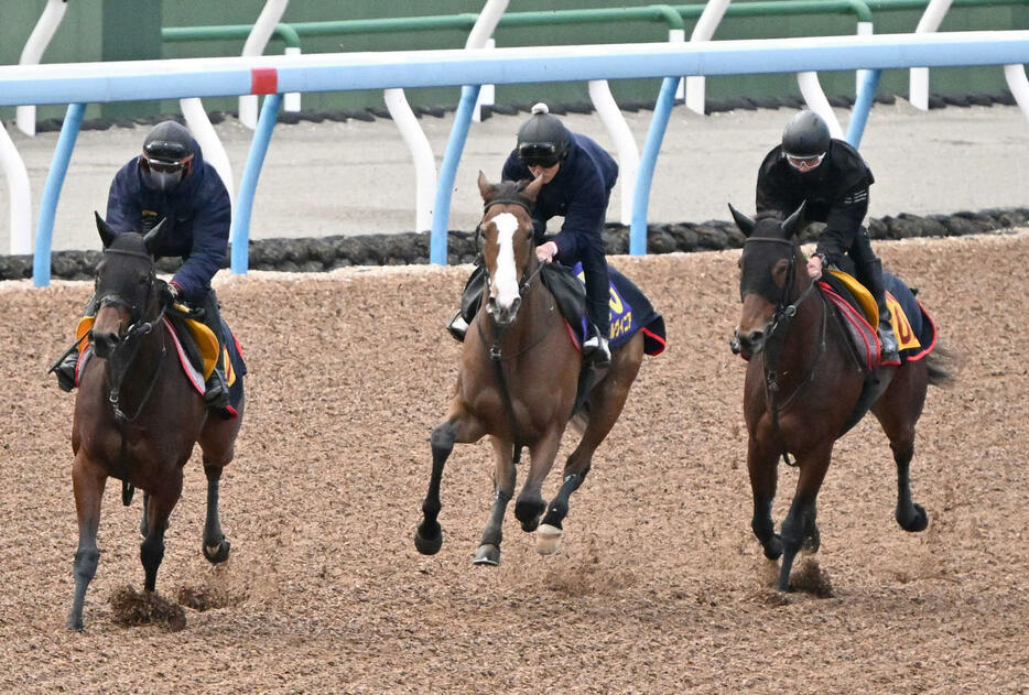 3頭併せて追い切るチェルヴィニア（中央）（撮影・千葉一成）