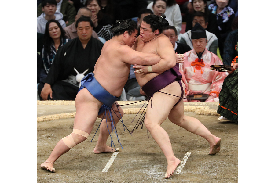 平戸海（右）に勝利した若隆景【写真：産経新聞社】