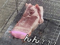 肉の表面にレーザーを照射（動画提供：日本レーザー企画より）