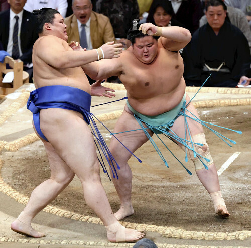 大の里（左）を上手投げで破った琴桜（２３日）＝大久保忠司撮影