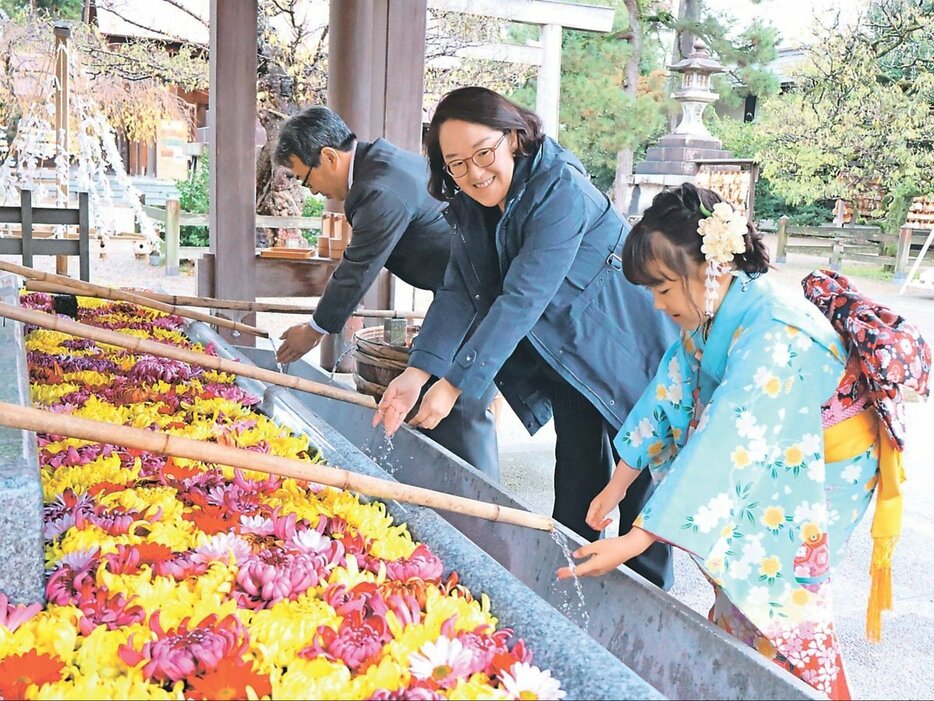 菊を眺めながら手を清める参拝者＝射水神社