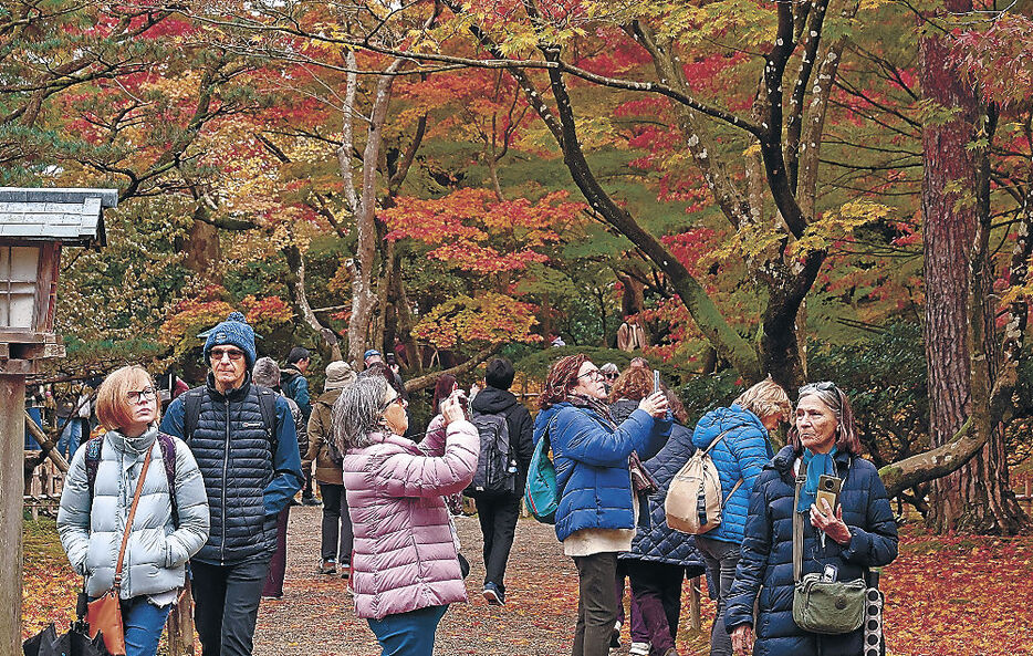 鮮やかな紅葉を堪能する外国人観光客＝兼六園