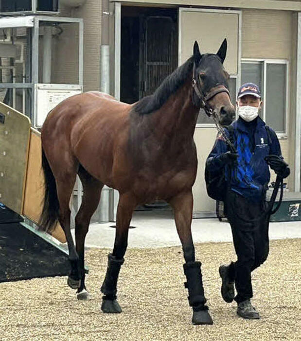 京都競馬場に到着したブレイディヴェーグ