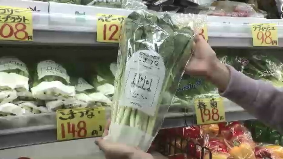 春菊や小松菜などの葉物野菜がこれからおすすめ