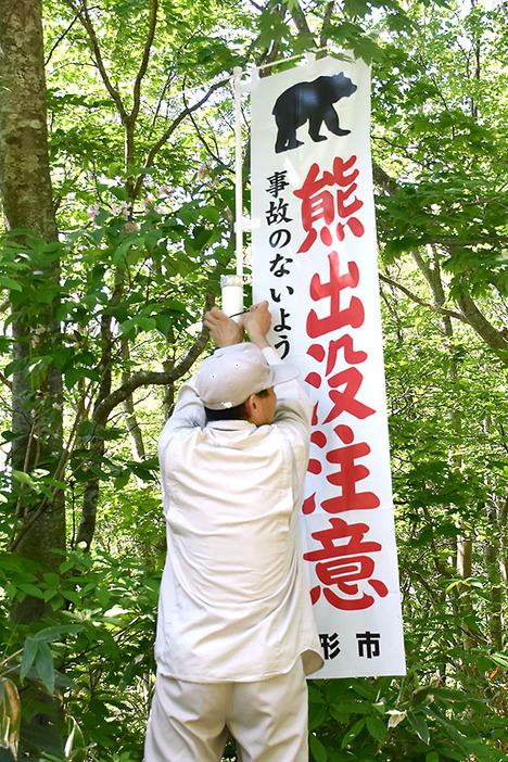 男性がクマに襲われたことを受け、のぼりを立てる山形市職員＝今年６月、同市蔵王温泉