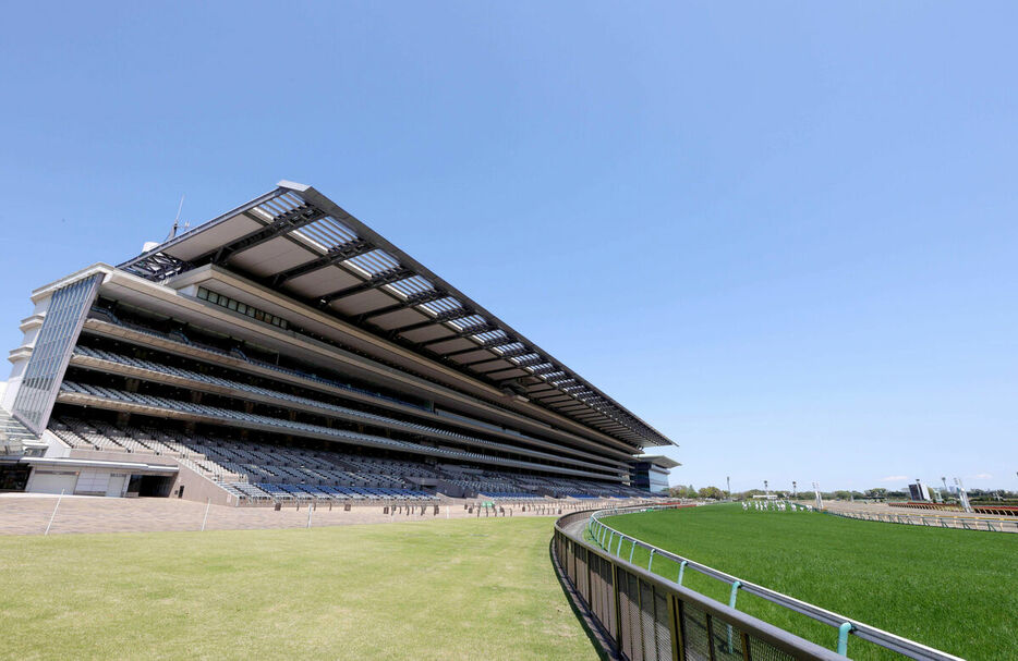 東京競馬場