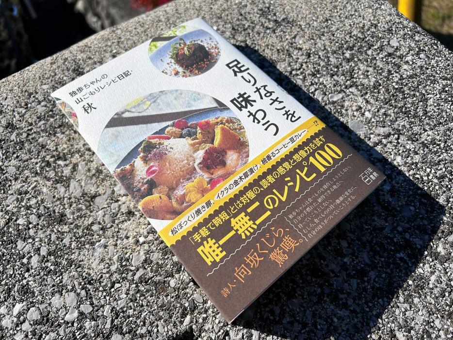 「足りなさを味わう: 独歩ちゃんの山ごもりレシピ日記・秋」（百万年書房）