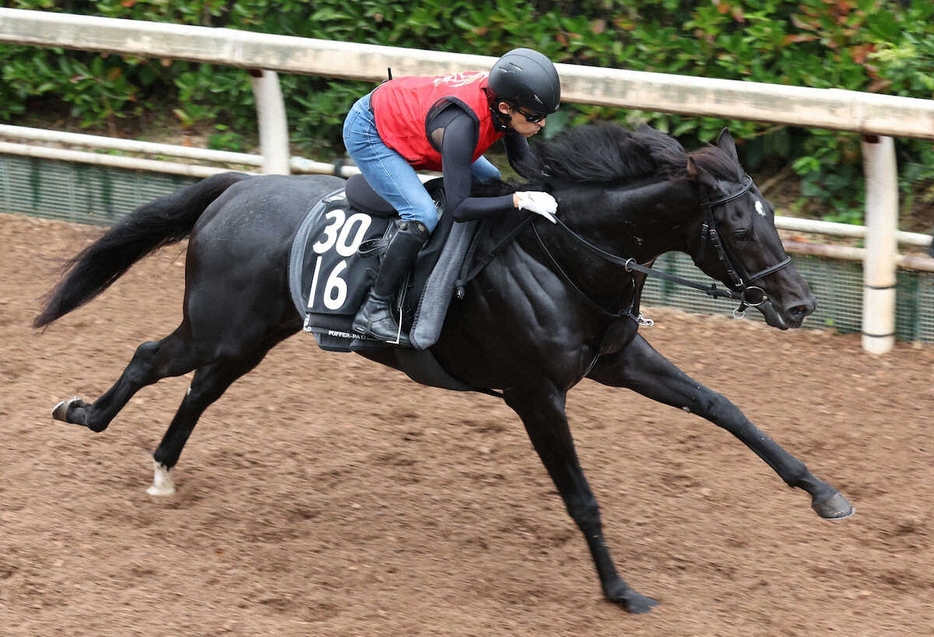 今週デビュー予定のアスクセクシーモア