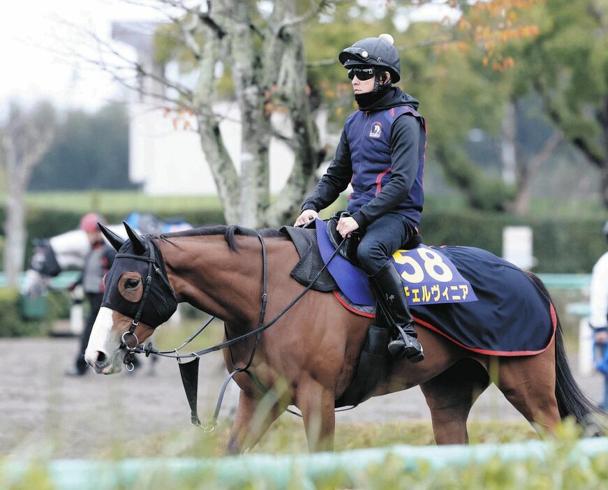 馬場へ向かうチェルヴィニア