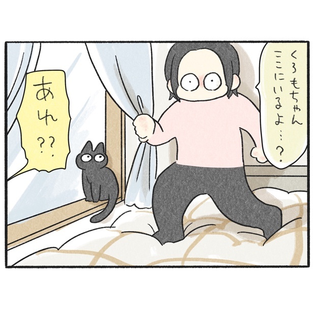 くろもとぽんず～うちの猫がかわいすぎる！～より