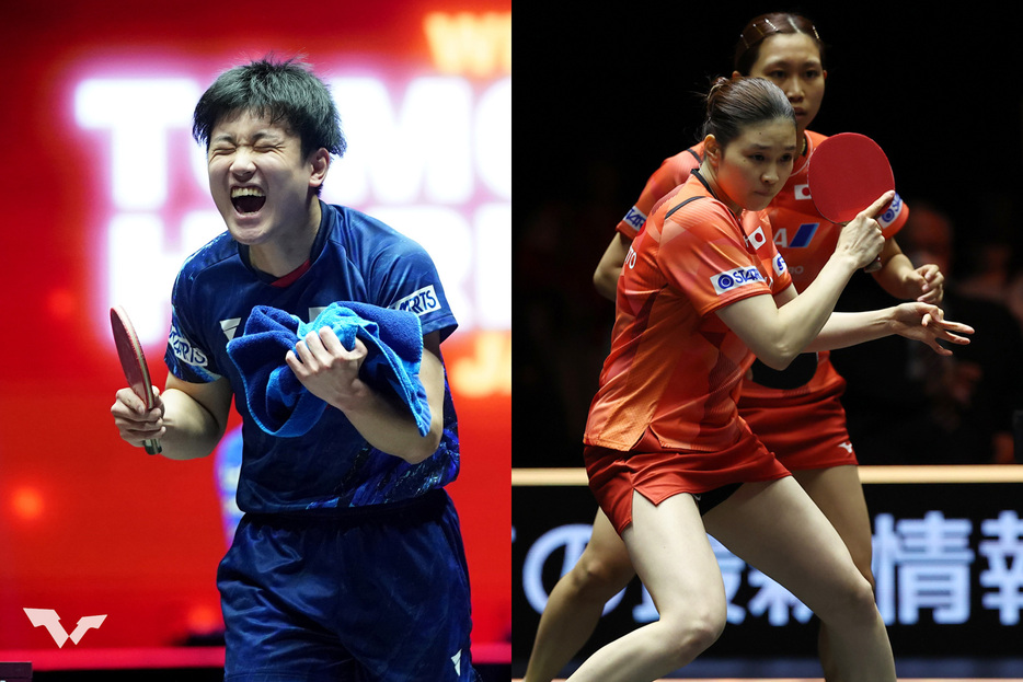 張本智和、佐藤瞳／ 橋本帆乃香 PHOTO：World Table Tennis