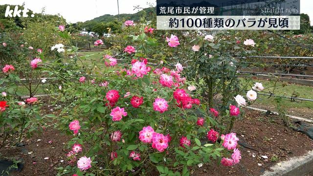 荒尾市おもやい市民花壇