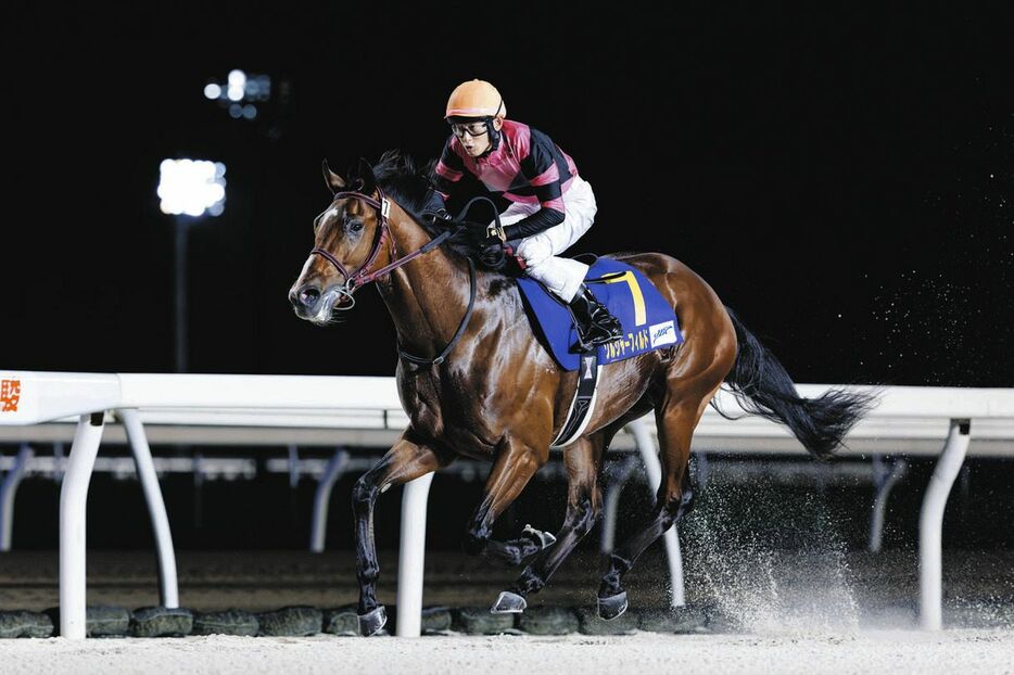 ２歳優駿を制したソルジャーフィルド（ホッカイドウ競馬提供）