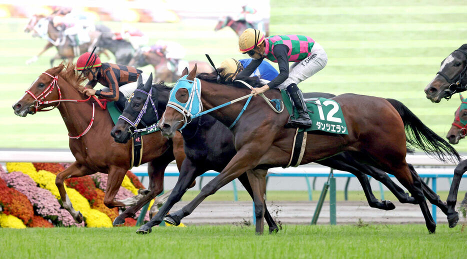 ３頭の大接戦となったファンタジーＳを制したダンツエラン（手前）（カメラ・豊田　秀一）