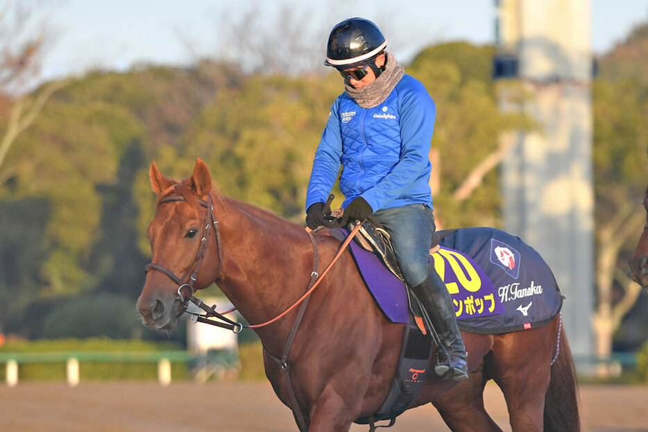 引退レースのチャンピオンズＣで連覇を狙うレモンポップは１枠２番