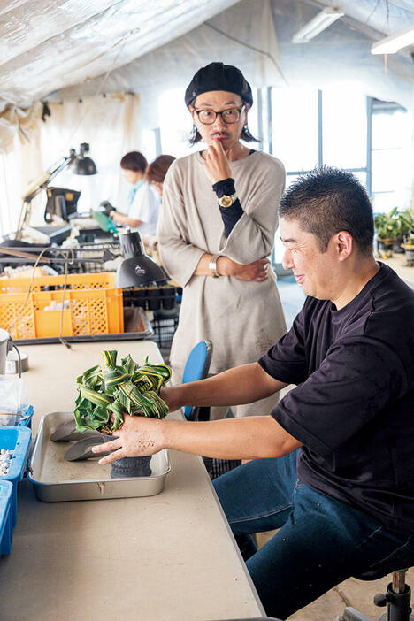 水野さんの植え替え作業を身守る芳山さん。二人が会ったのは今回が初めて。作業手順からポイント、使う道具まで、興味津々。（撮影／田中雅也、撮影協力／かみ山陶器、CORON CACTUS、豊明園）