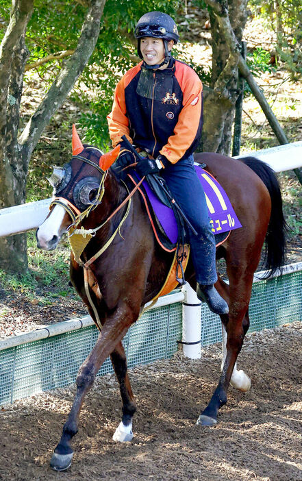 森泰斗騎手もしまいの脚に期待を寄せるナミュール