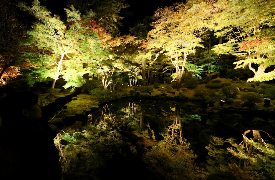 日本三景で知られる松島で紅葉が見頃を迎えている。円通院本堂前の「心字の池」では、赤や黄色に色づいたモミジの木がライトに照らされ、池の水面に映り込む「逆さ紅葉」が見られる。ライトアップは１７日まで＝７日