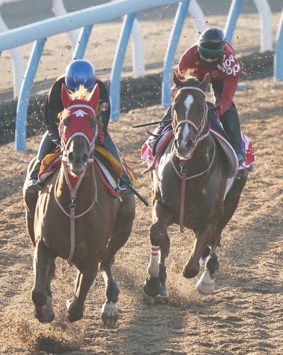 ＜マイルCS＞併せで追い切るウインマーベル（右）（撮影・村上　大輔）