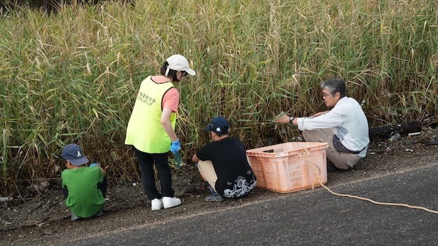 護岸でごみを採取