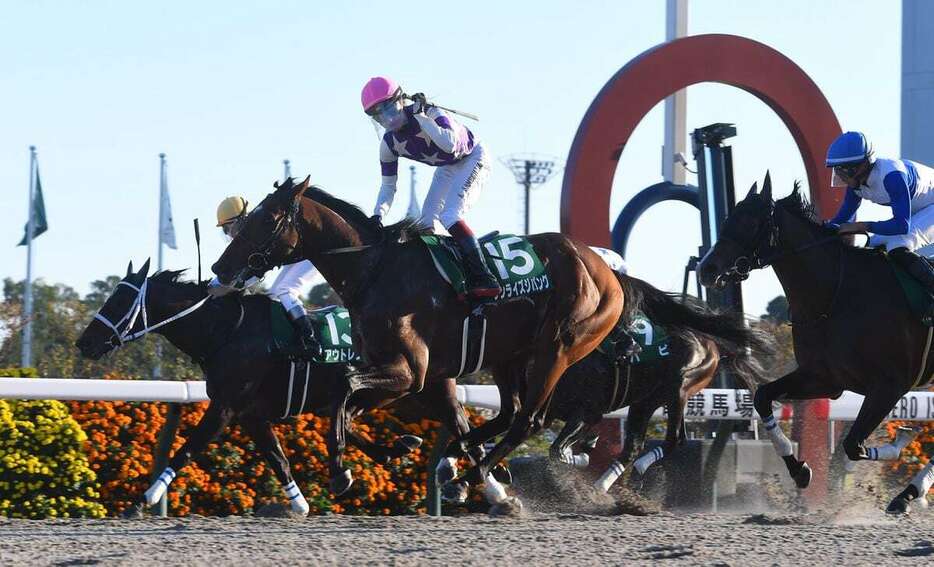 みやこスSを勝利したサンライズジパング＝京都競馬場（撮影・岩川晋也）