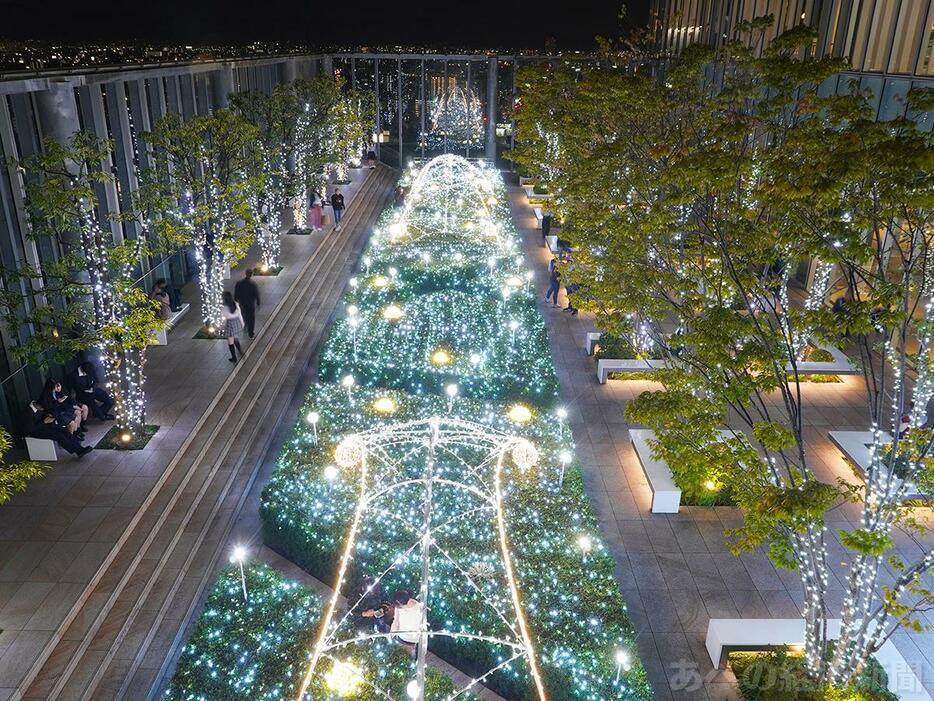 あべのハルカス16階屋外庭園のイルミネーション