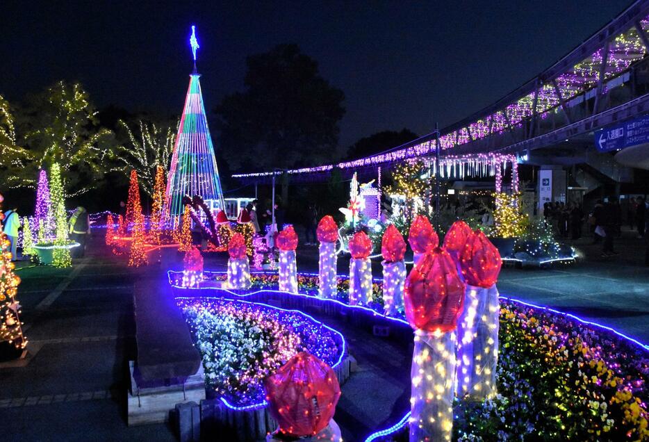 関係者にお披露目された、とっとり花回廊の「フラワーイルミネーション」＝13日夜、鳥取県南部町