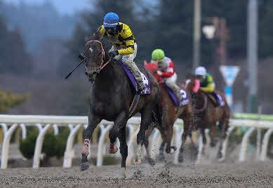 昨年の桐花賞を制したノーブルサターン（提供・岩手県競馬組合）