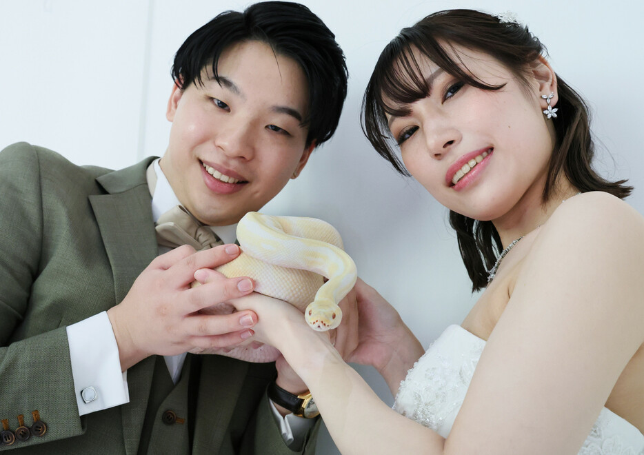 来年の干支と一緒にウエディングフォトが撮影できる企画が行われ、来年結婚予定の宮川大輝さんと高木凜さんが撮影に臨んだ。２人は「ヘビのように、時には回り道をしながらも真っすぐ進みたい」と語った＝１８日