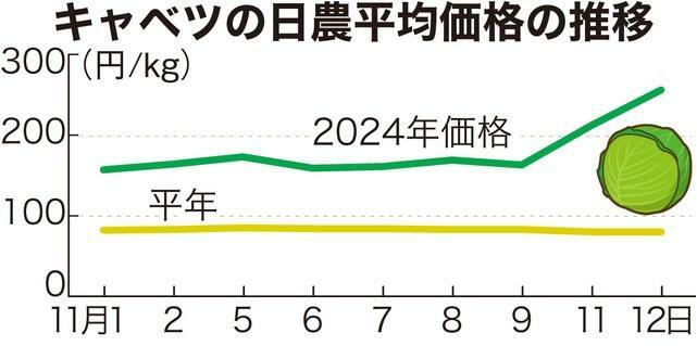 キャベツの日農平均価格の推移