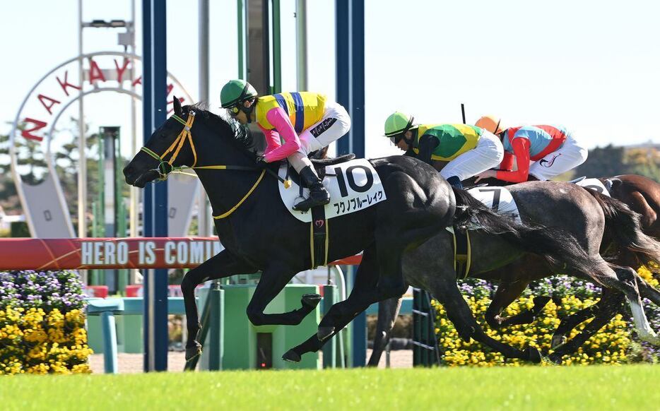 未勝利戦を制したフクノブルーレイクと松岡正海騎手（撮影・奈良武）