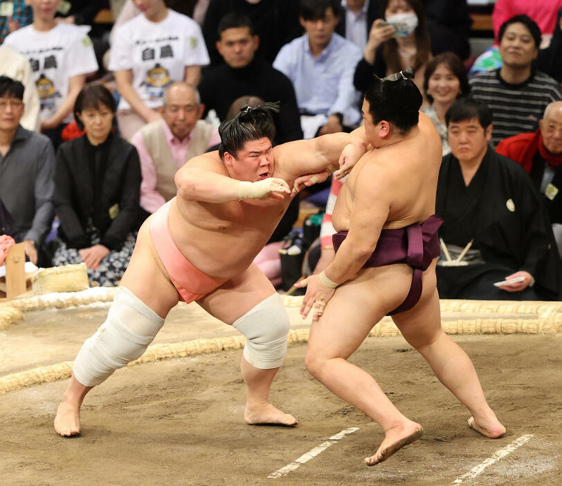 大相撲九州場所　11日目　押し倒しで平戸海を破る宇良（左）（撮影・梅根麻紀）