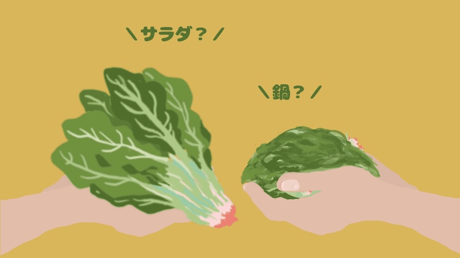 〈サラダ〉VS〈鍋〉 痩せたい人は野菜をどう食べればいいのか？