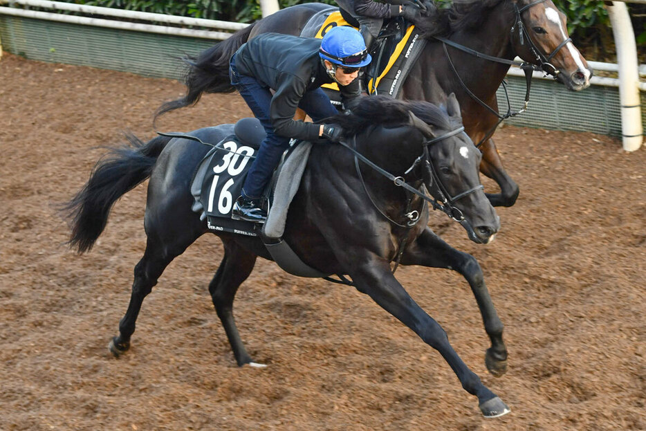 武豊を背に最終追い切りを行ったアスクセクシーモア