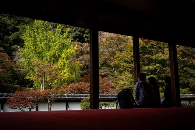 福寿院客殿から見える紅葉=19日、奈良市菩提山町の正暦寺(同寺の許可を得て撮影)