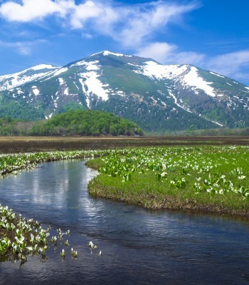 眼下に尾瀬ヶ原を見渡せる雄大な至仏山 photo by gettyimages