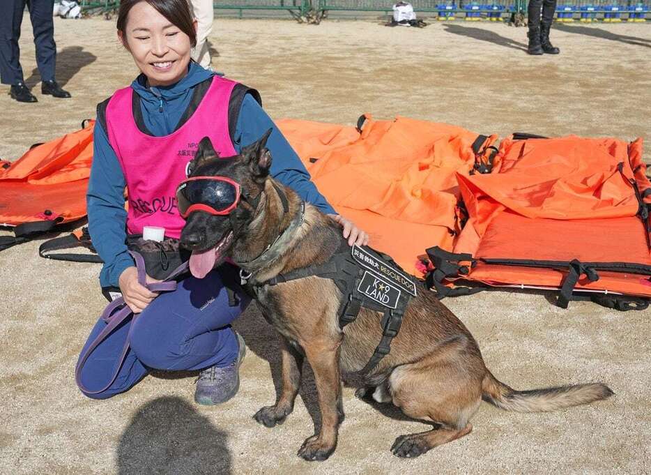 大阪市阿倍野区・西成区による4団体合同防災訓練に参加した災害救助犬のランド＝30日午前、大阪市阿倍野区の市立金塚小学校