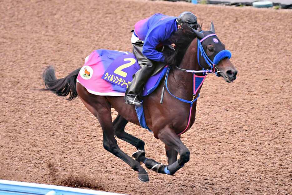 輸送疲れは皆無のウィルソンテソーロ