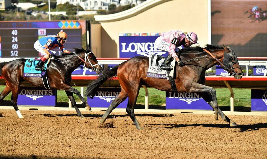 BCクラシックを制したシエラレオーネ＝アメリカ・デルマー競馬場（撮影・Katsumi.Saito）