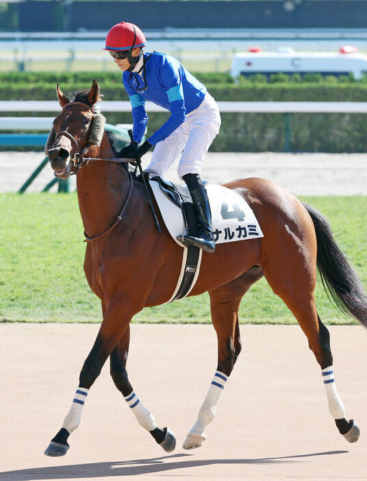 坂井瑠星騎手騎乗のナルカミが圧勝デビュー。　（カメラ・高橋　由二）