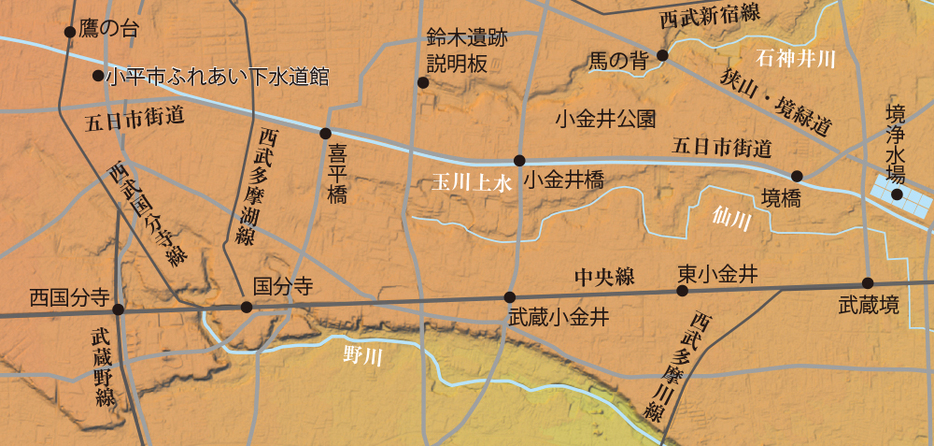 小金井周辺地図（地理院地図vectorを加工して作成／山と溪谷社）