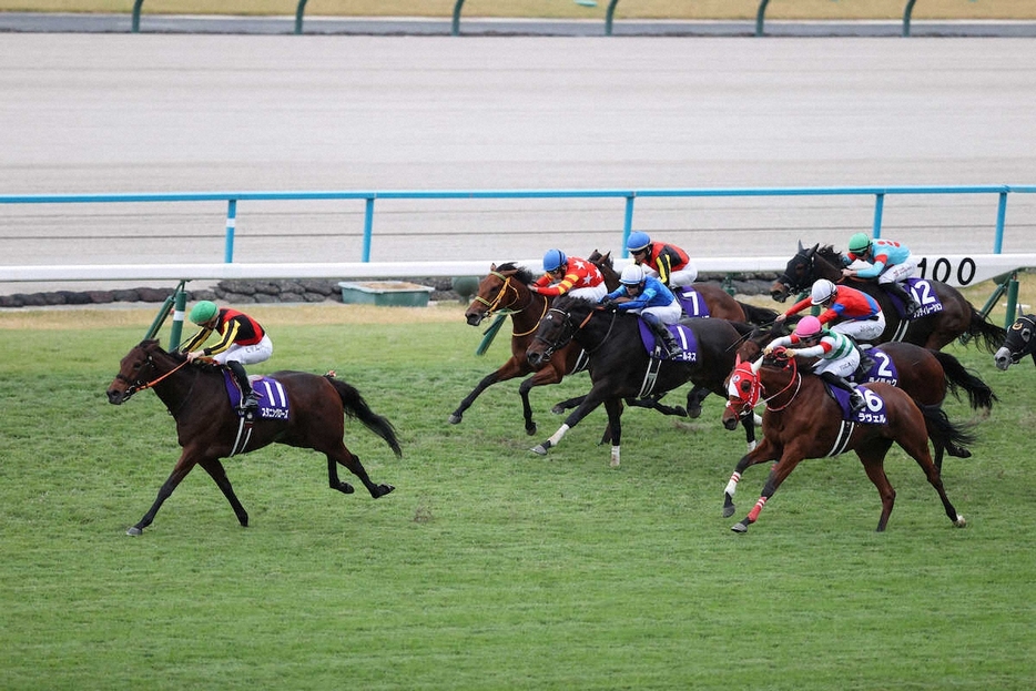 ＜京都11R・エリザベス女王杯＞直線で伸びて2着に入ったラヴェル（右手前・16番）（撮影・岸　良祐）