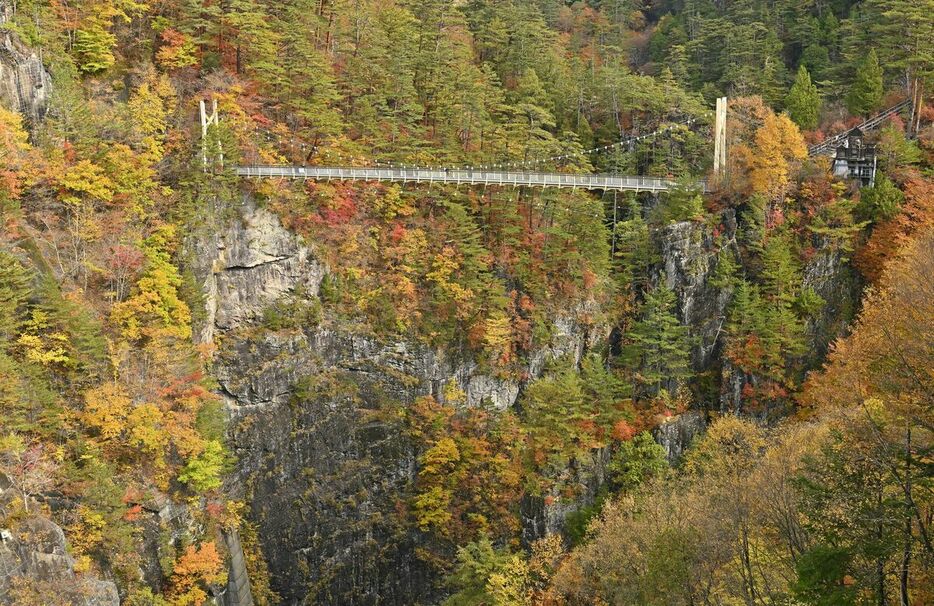 渓谷を色鮮やかに染める瀬戸合峡の紅葉＝６日午後０時20分、日光市川俣