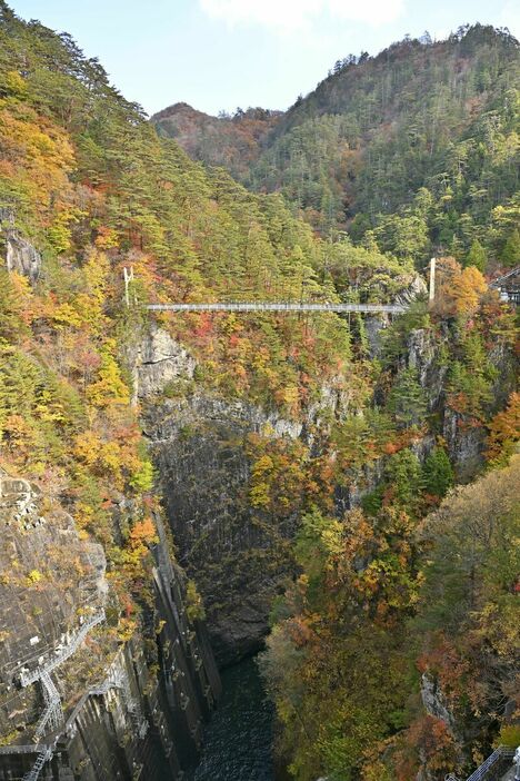 渓谷を色鮮やかに染める瀬戸合峡の紅葉＝６日午後０時25分日光市川俣