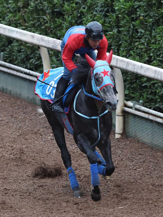 坂路を単走で追い切るビッグシーザー