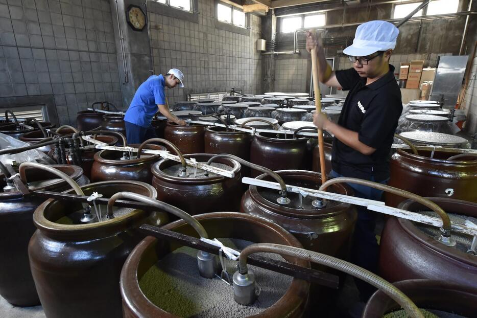 泡盛の製造過程で、もろみをかき混ぜる職人ら＝西原町の石川酒造場（資料写真、2015年撮影）